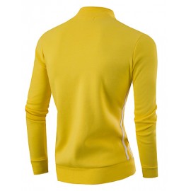 Men's Casual/Daily / Sports Sweatshirt,Striped Stand Micro-elastic Cotton / Polyester Long Sleeve Fall / Winter